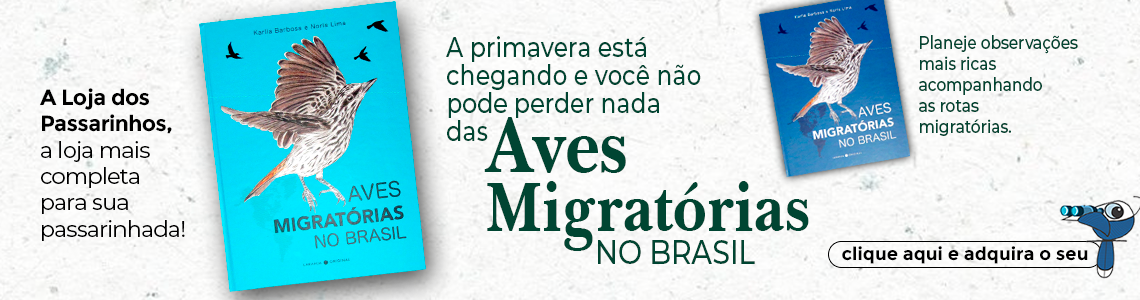 MINIATURAS EM MADEIRA