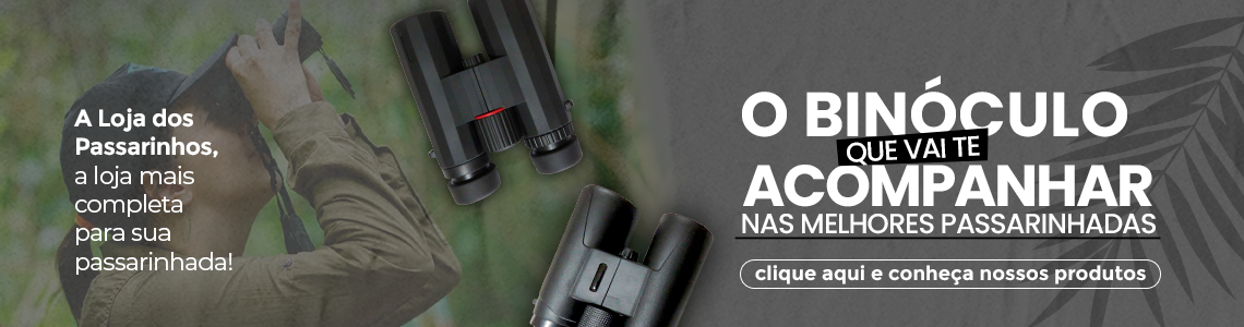 MINIATURAS EM MADEIRA