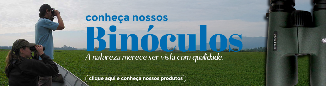 MINIATURAS EM MADEIRA