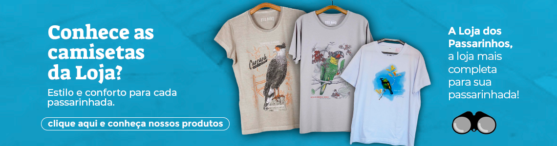 MINIATURAS EM MADEIRA