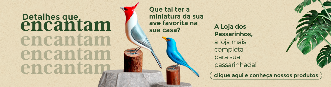 INFANTIL