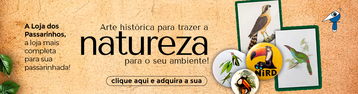MINIATURAS EM MADEIRA