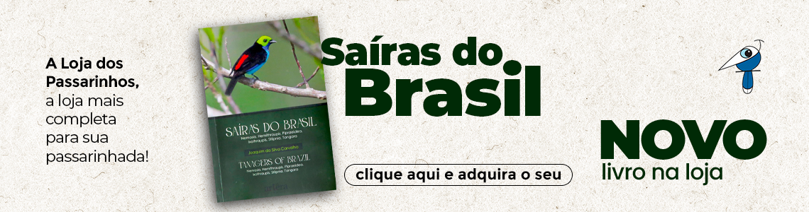 miniaturas