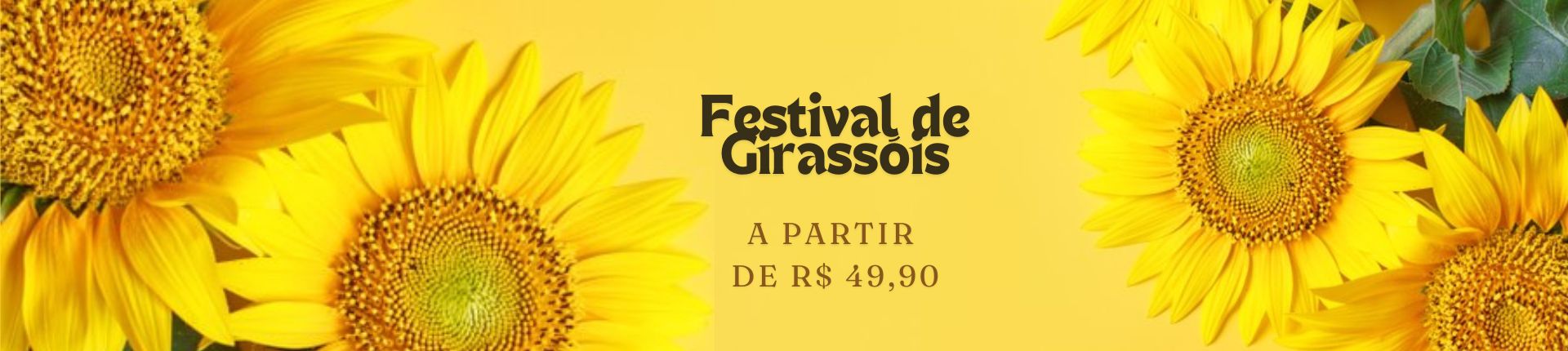 Girassóis