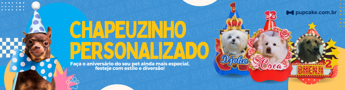 CHAPEU FESTA ANIVERSARIO