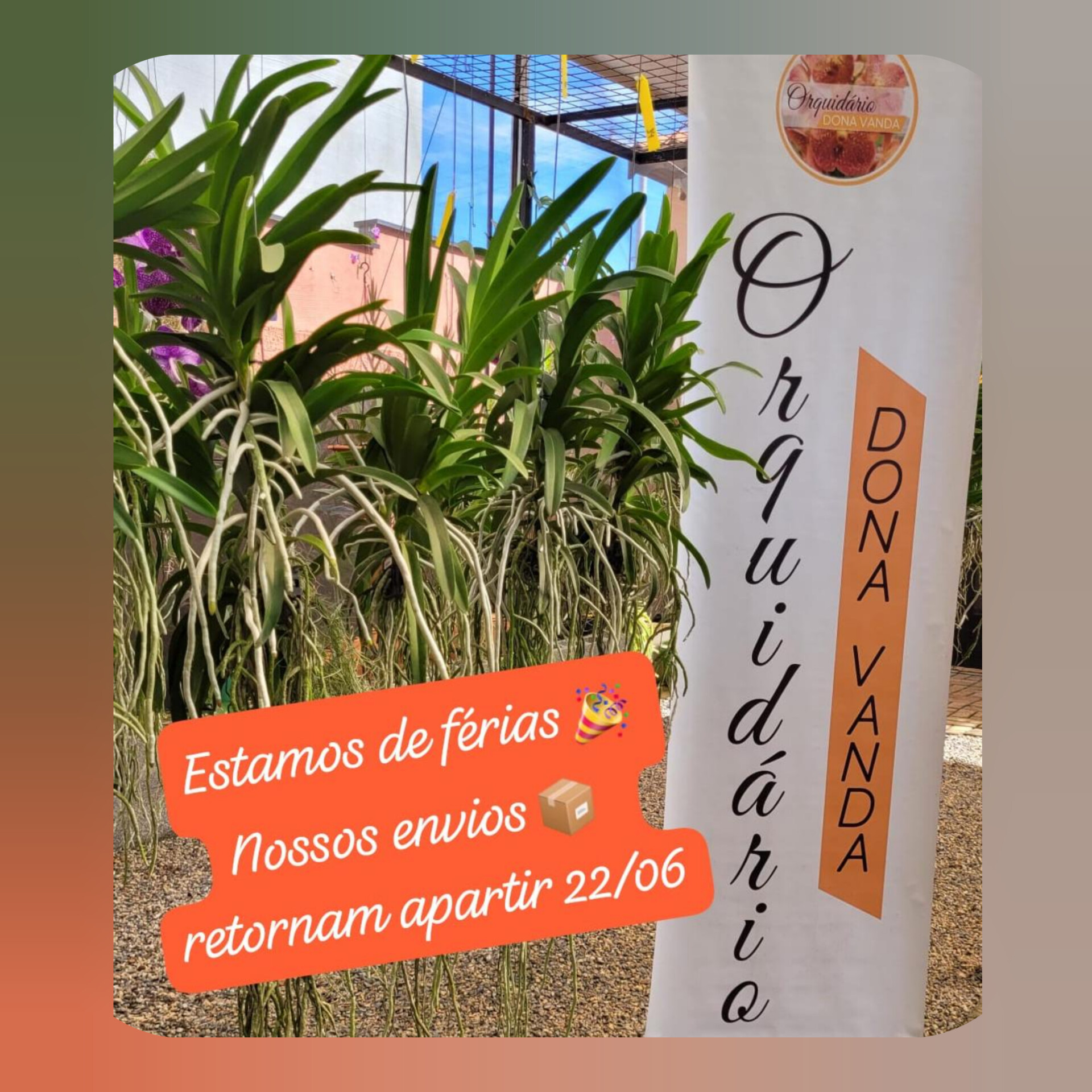 Foto capa