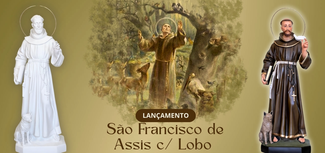 Francisco c/lobo@Desktop