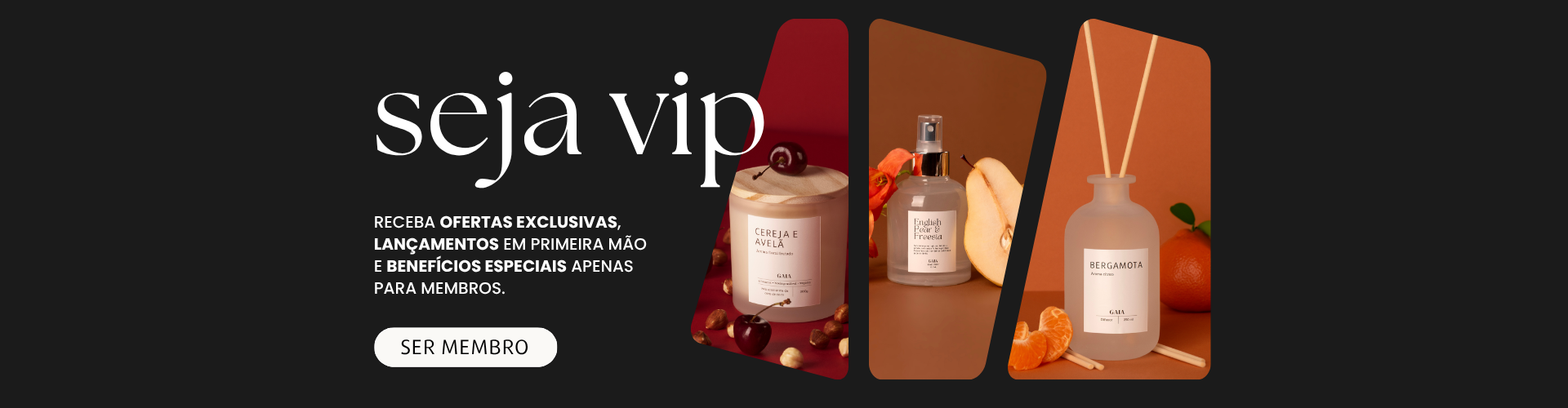 Grupo Vip