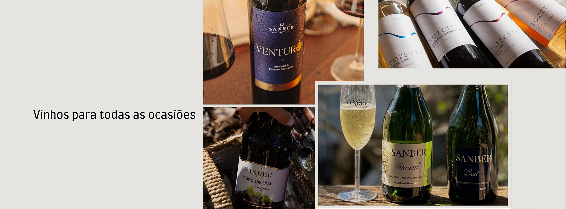Vinhos para todas as ocasiões