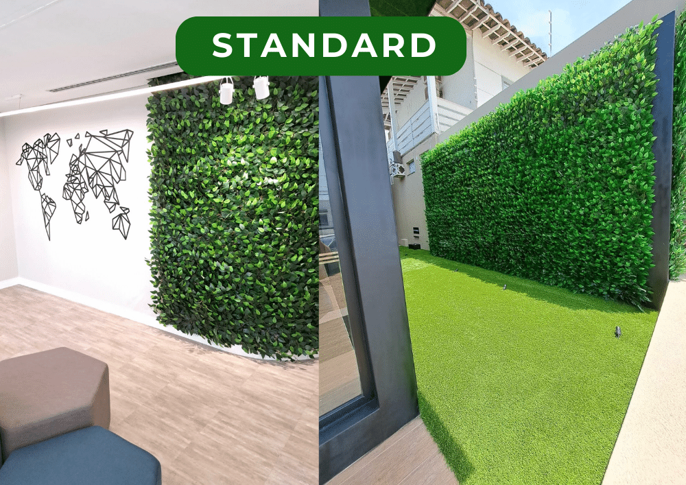 STANDARD 2