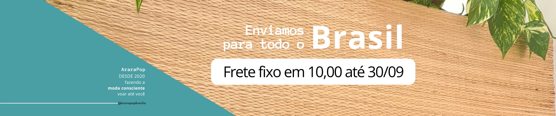 Banner Frete Fixo