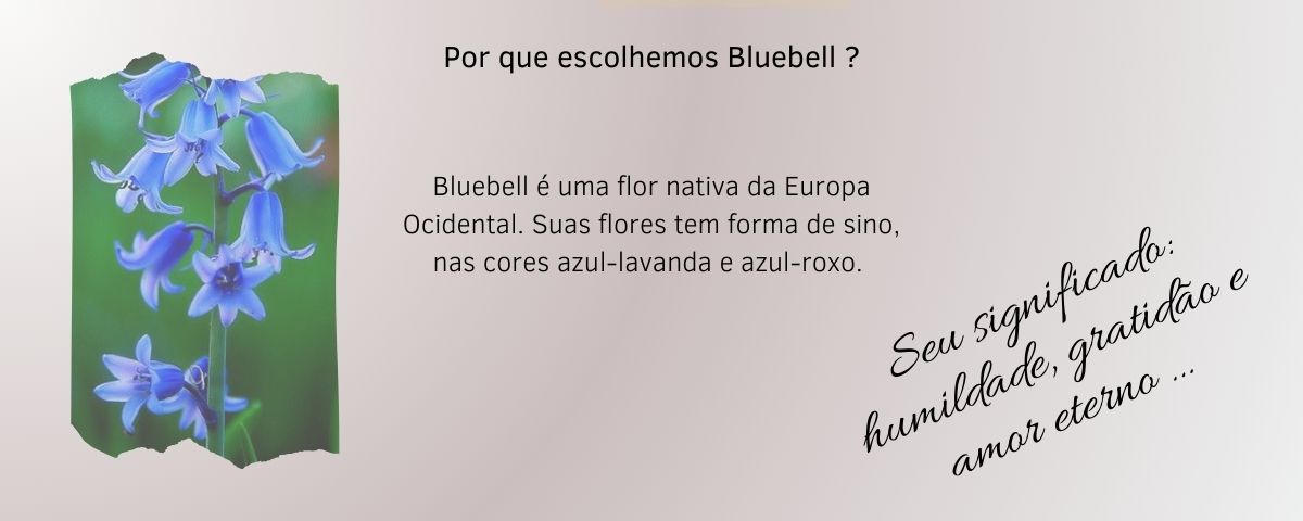 bluebell