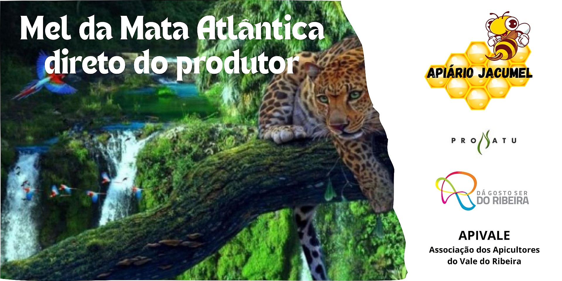 Banner Mata Atlântica