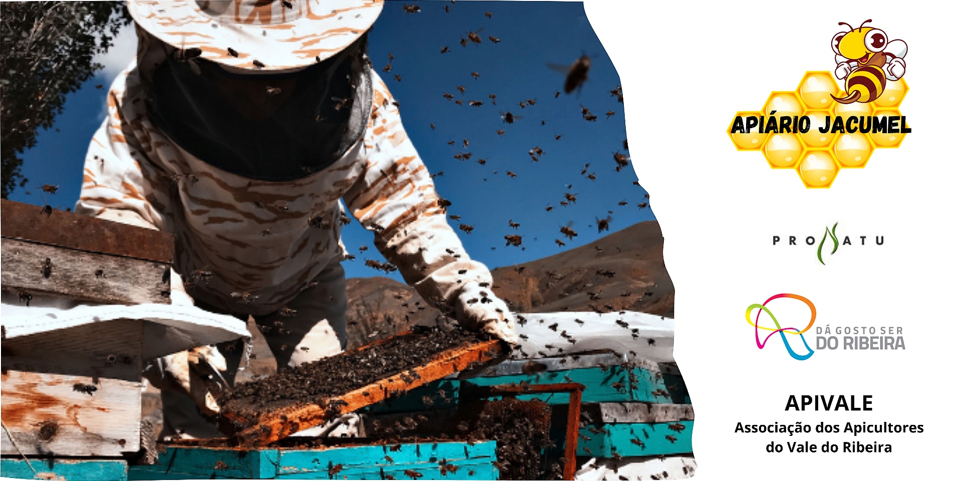 Apicultor Full Banner