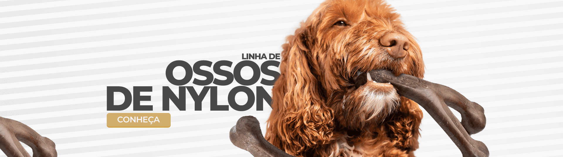 BANNER OSSO DE NYLON