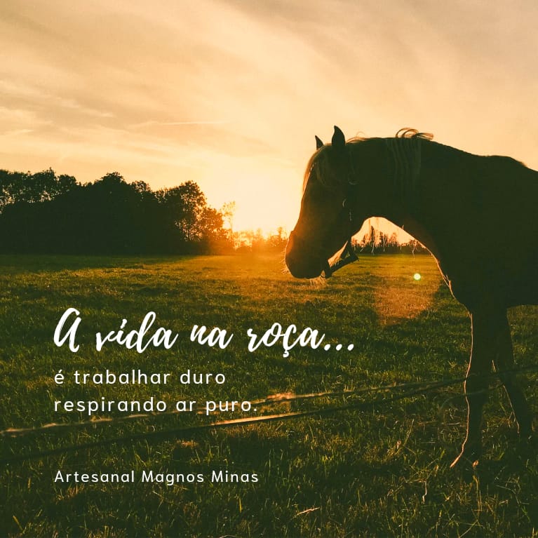 Full Banner 1 - mobile