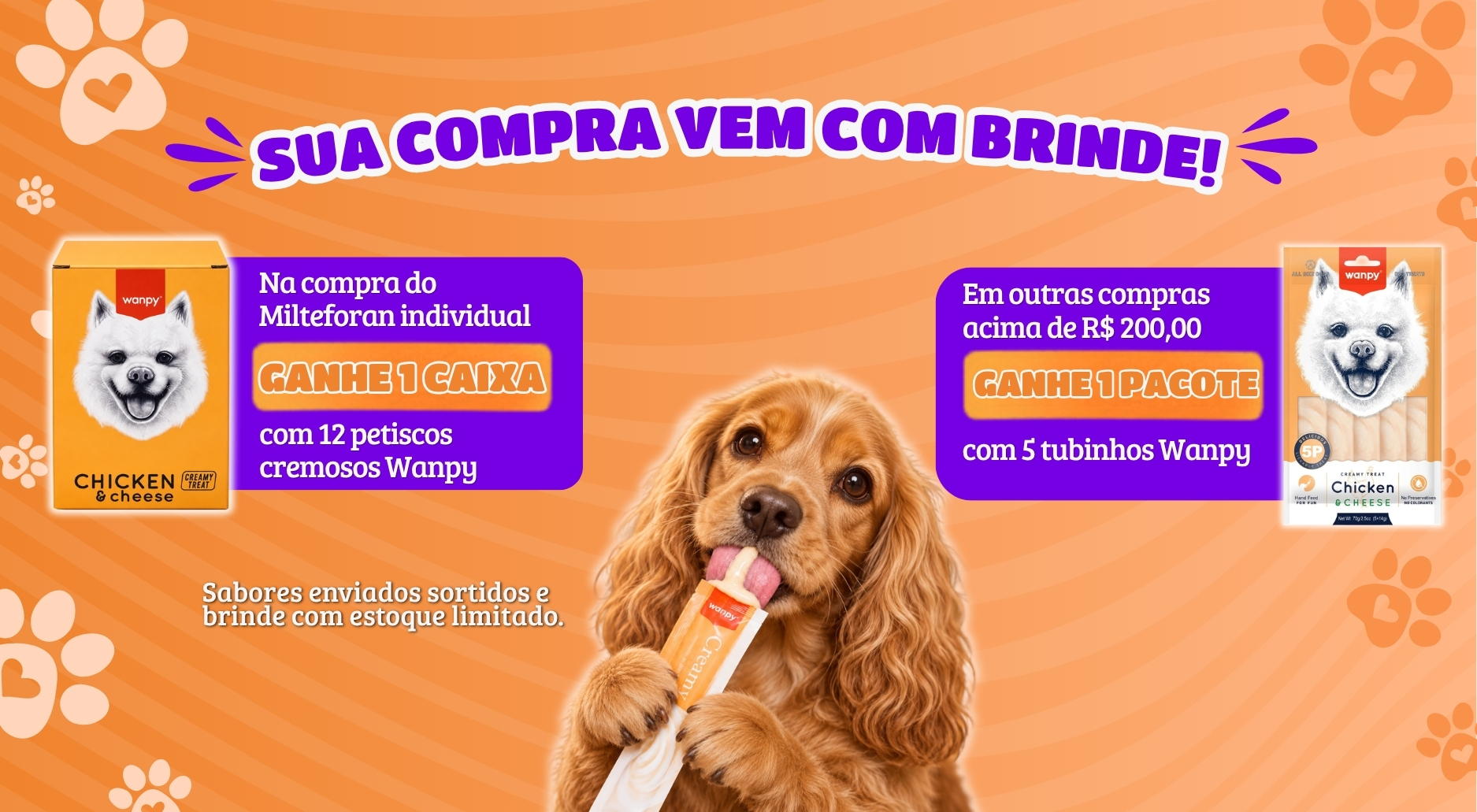 brinde wanpy moblie
