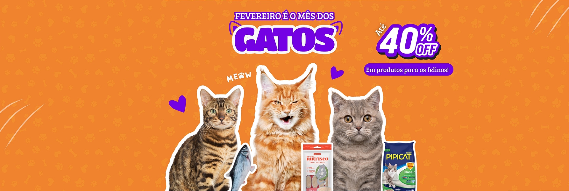 Mês dos gatos - fevereiro 2026
