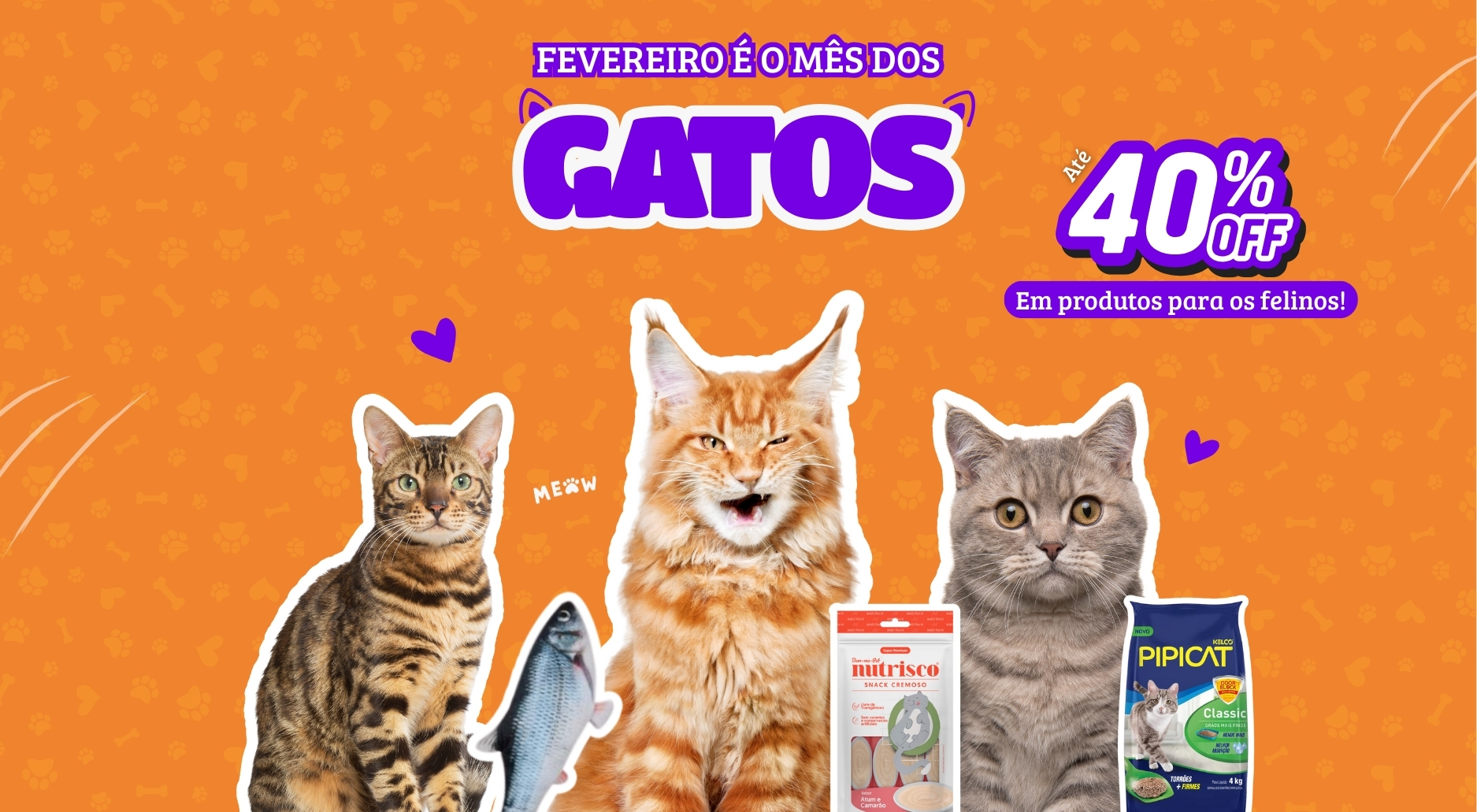 Mês dos gatos - fevereiro 2026 mobile