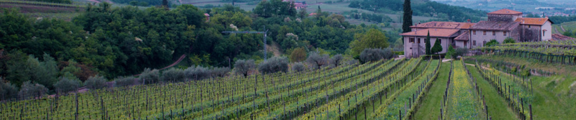 Novaia - Marano di Valpolicella
