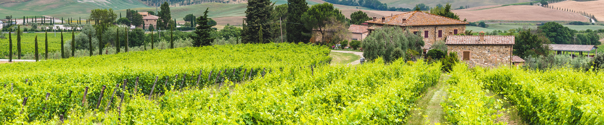 La Rasina Montalcino