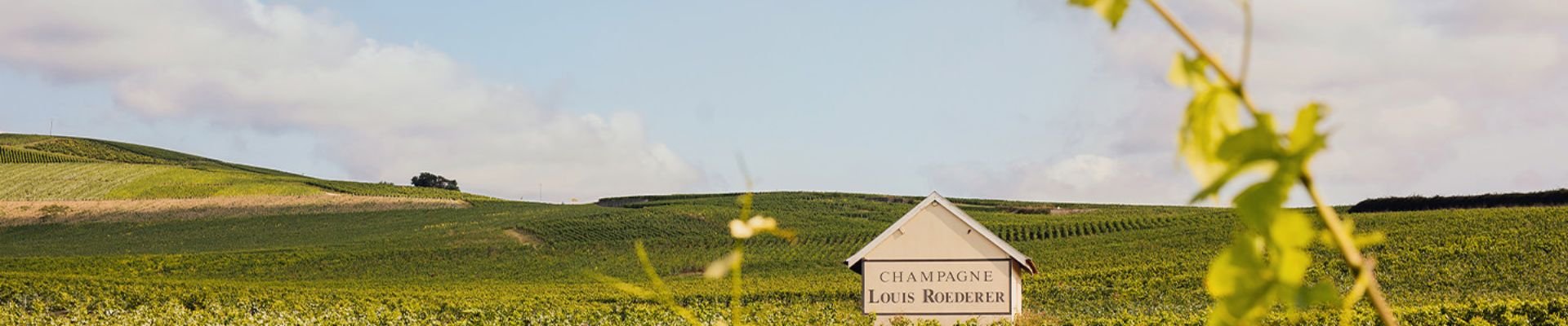 Louis Roederer
