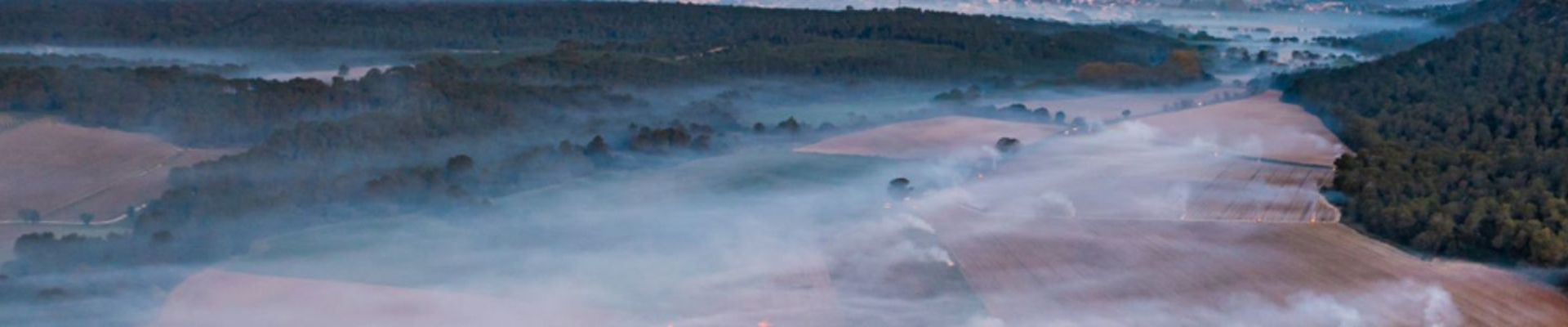 Vignobles Des 3 Châteaux
