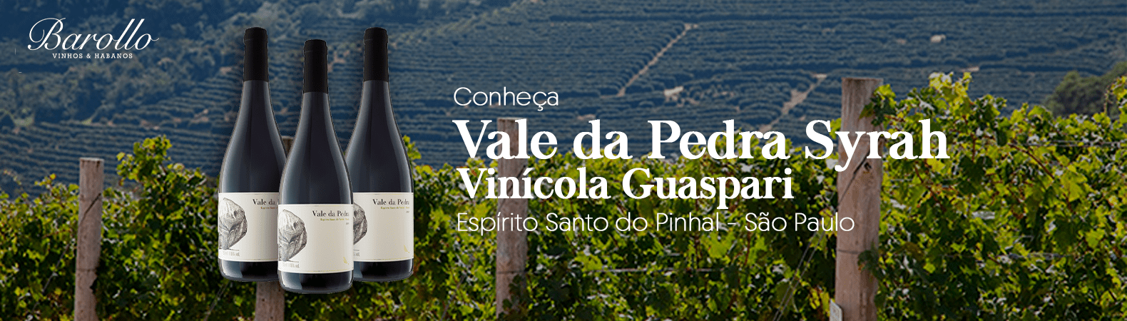 Guaspari Vale da Pedra Syrah - 750ml