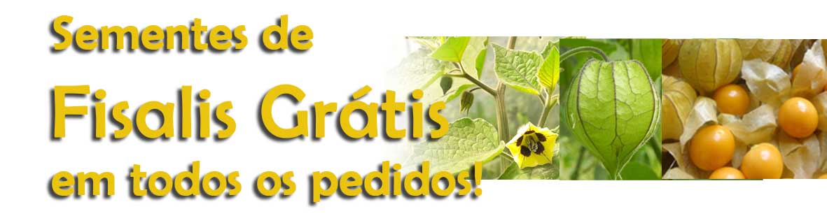 Banner Fisalis gratis