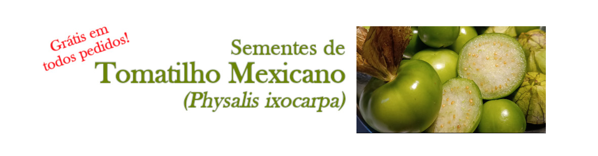 Banner Fisalis gratis