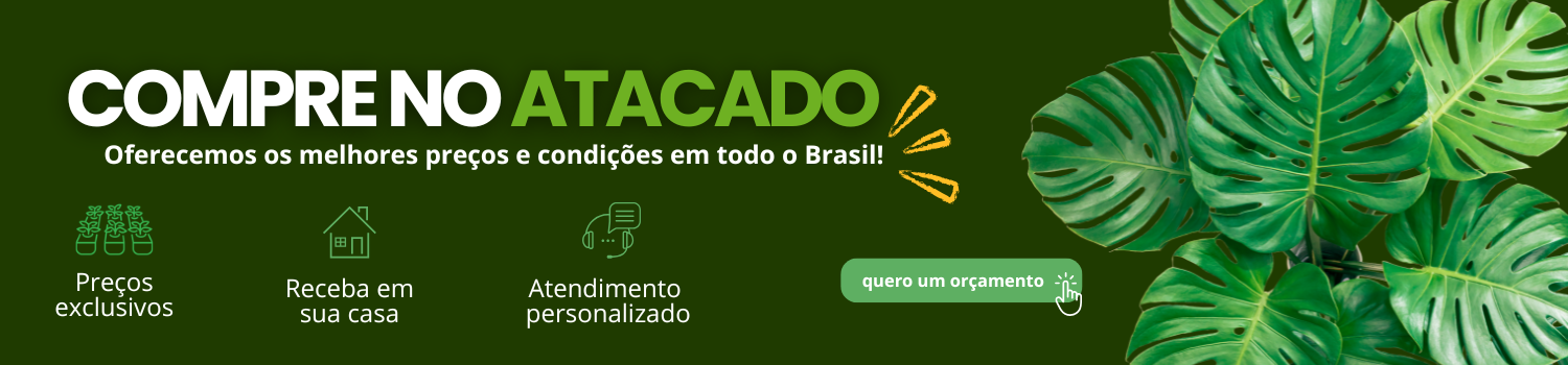 ATACADO BONI PLANTAS