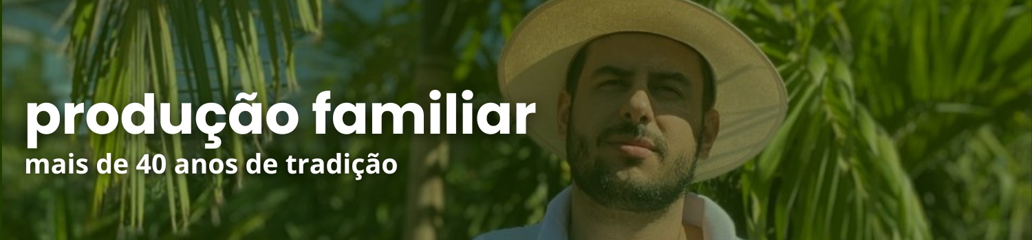 PRODUÇÃO