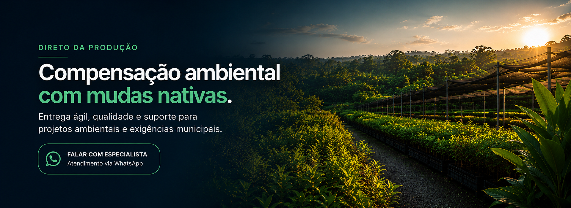 nativas