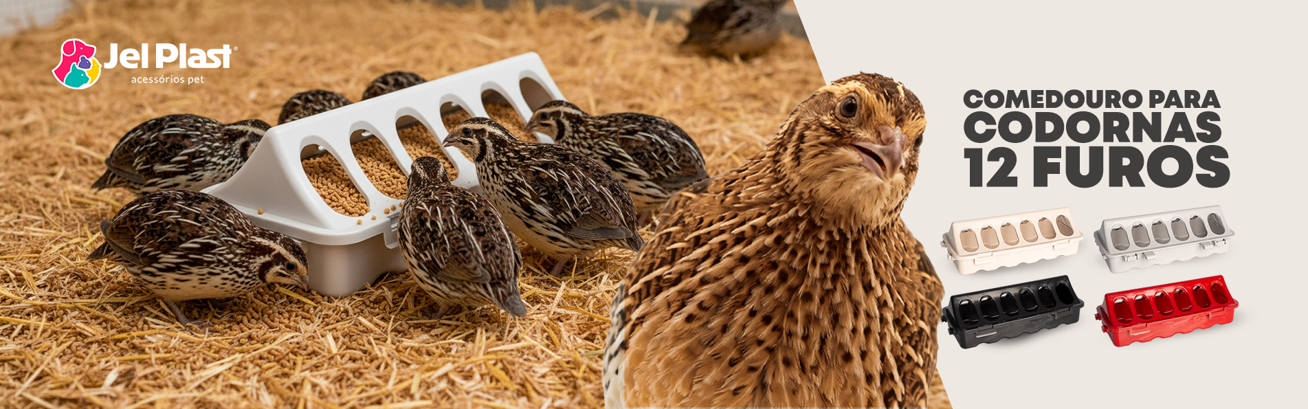 COMEDOURO 12 FUROS CODORNA