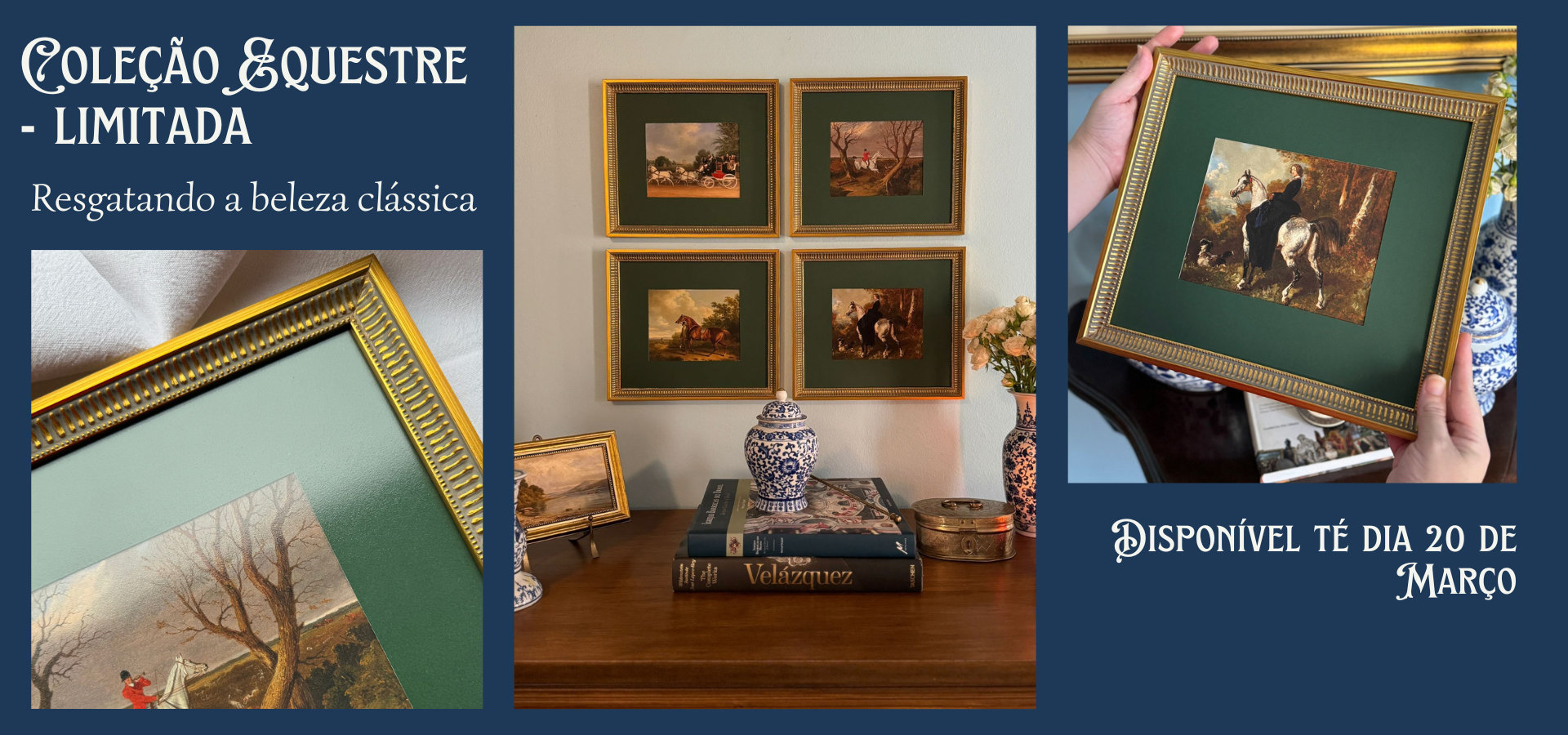 coleção equestre