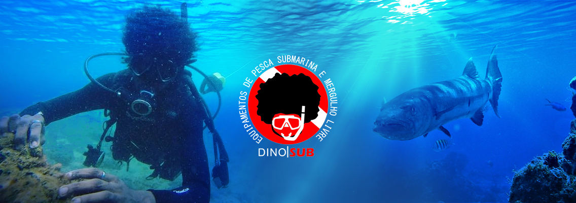 Banner Dino Sub