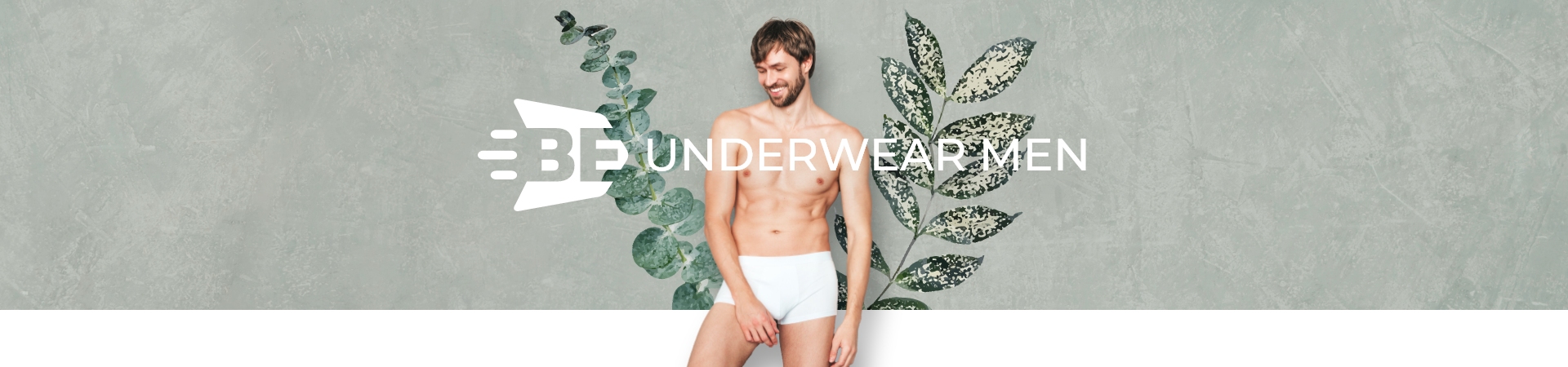 Full banner principal