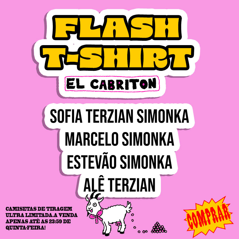 Flash Fixo mobile