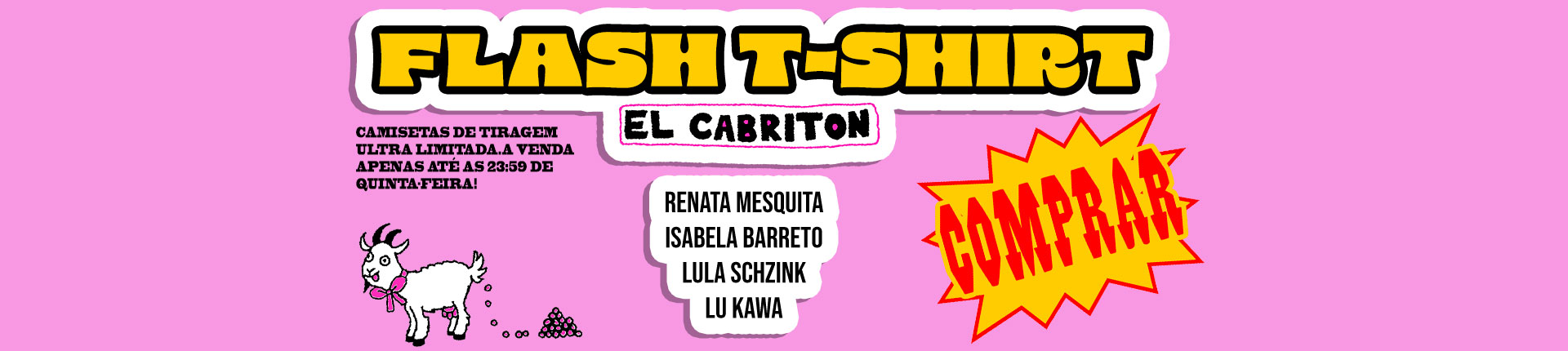 Flash Fixo