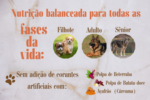 Alimento de qualidade mobile