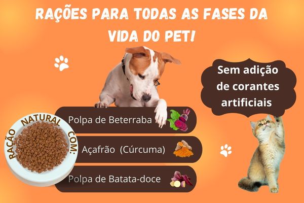 Alimento de qualidade mobile
