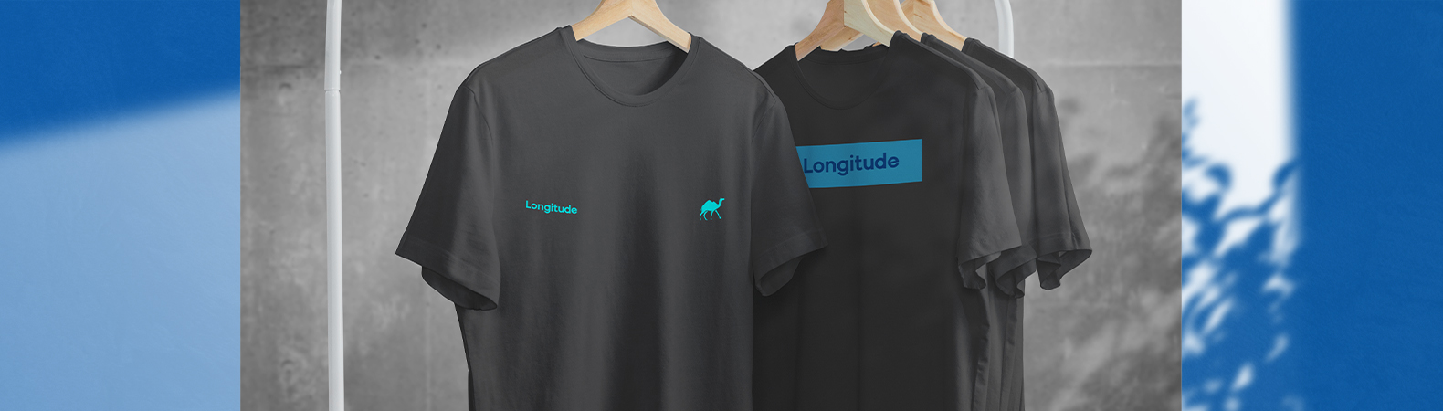 Full Banner LongiStore