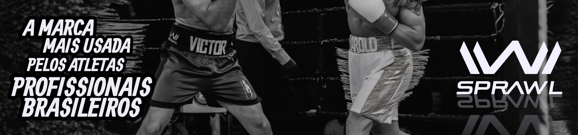 Full Banner 17-12-25