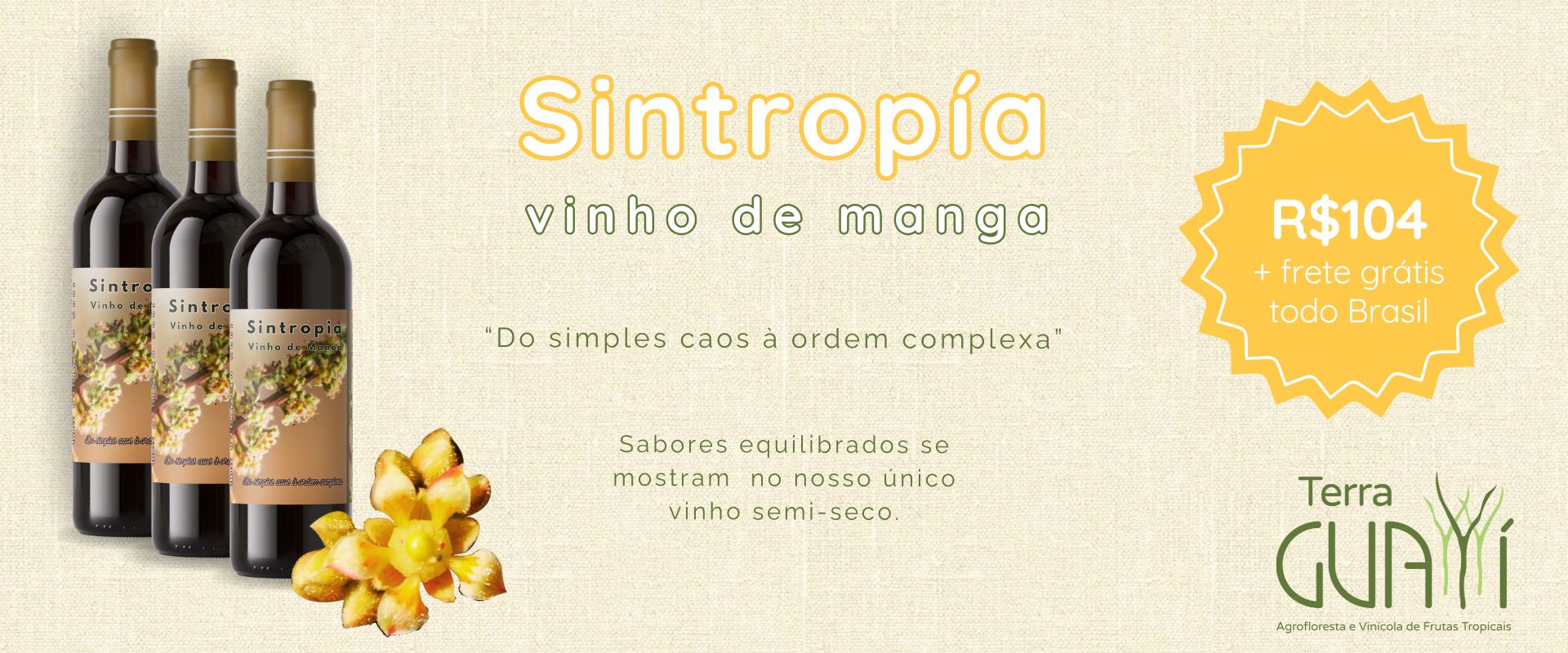 Sintropia NEW ID @desktop