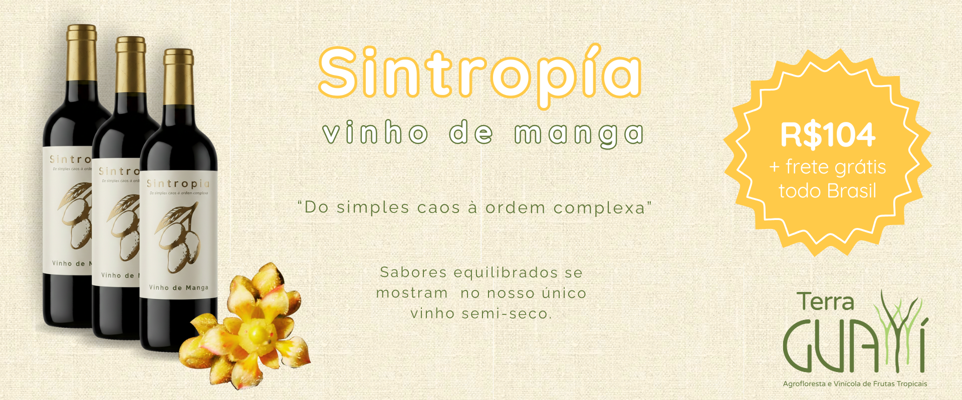 Sintropia NEW ID 2024 @desktop