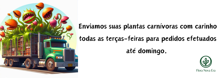 Sobre o Envio