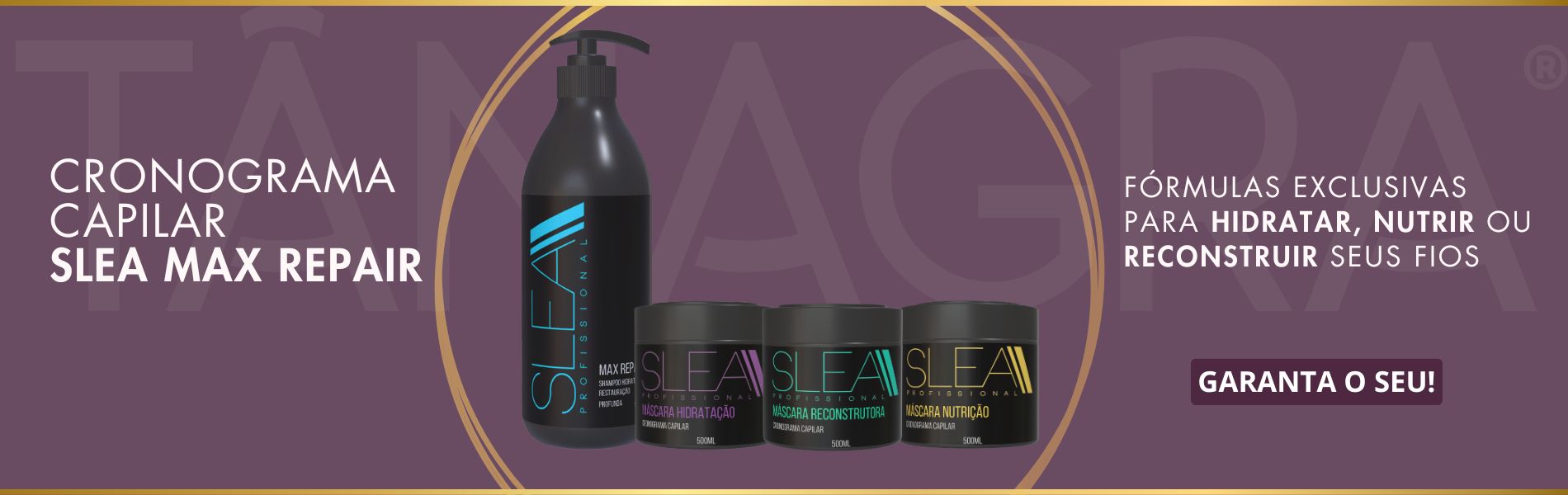 bannes slea sem cliente 2026