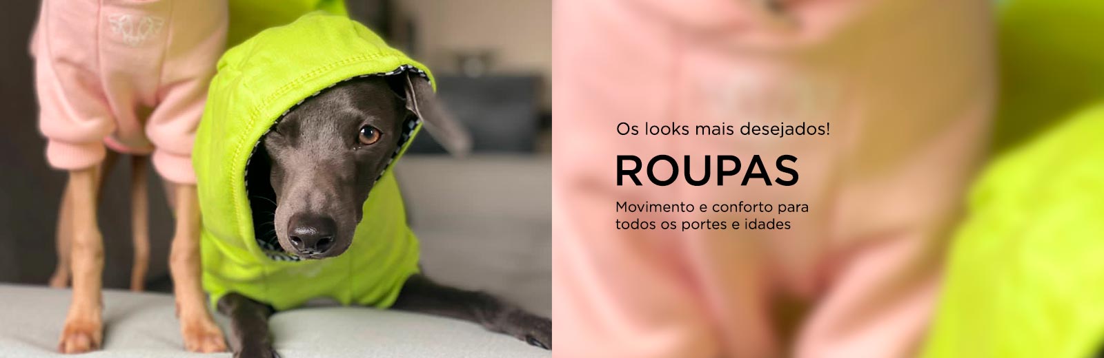 Roupas