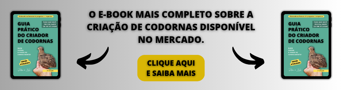 Banner E-book C-PBS - 02