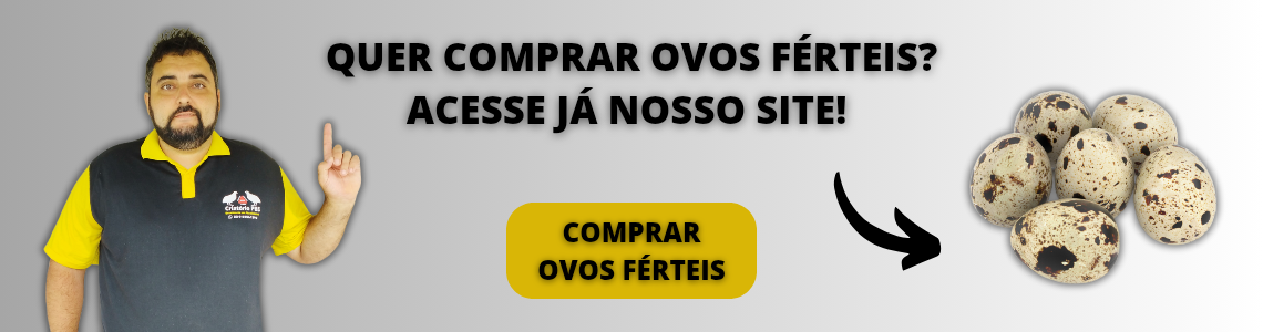 Banner Ovos Férteis C-PBS - 01